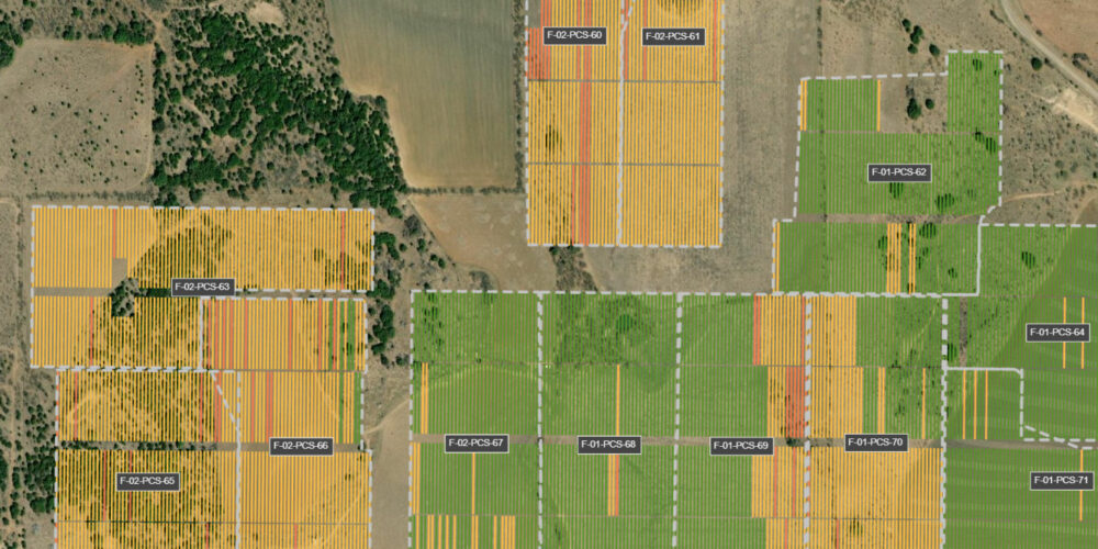 Overhead view of a solar field